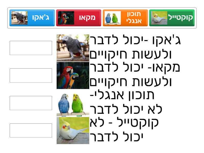 games - Match up