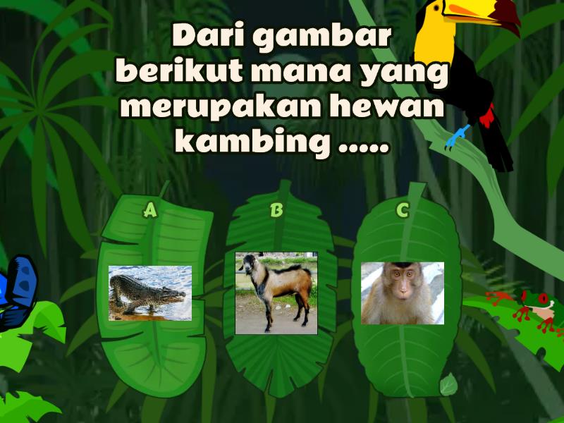 JAWABLAH PERTANYAAN BERIKUT DENGAN BENAR !! - Quiz