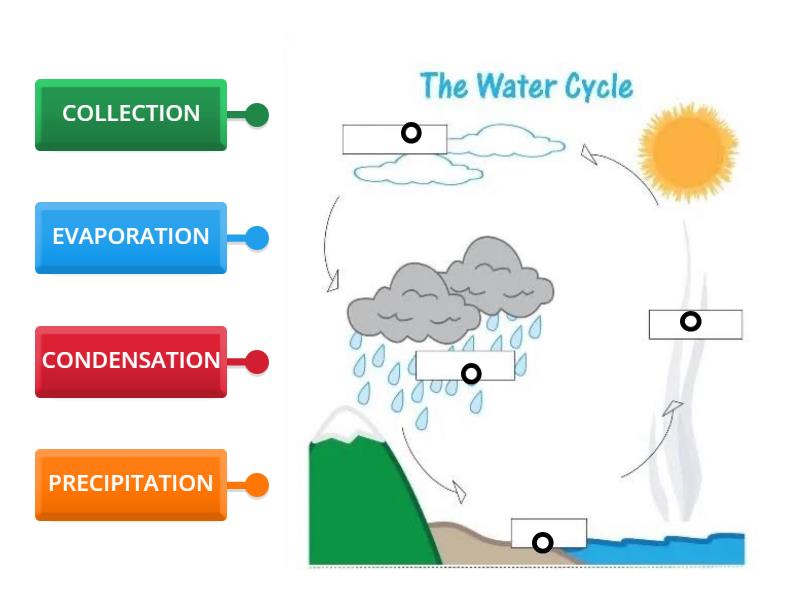 Water Cycle - Labelled diagram