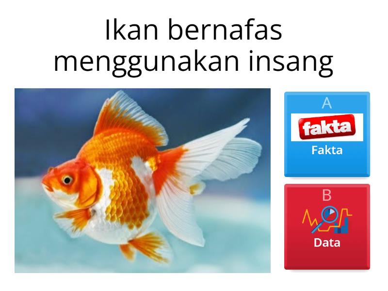 Analisis Fakta Dan Data - Quiz