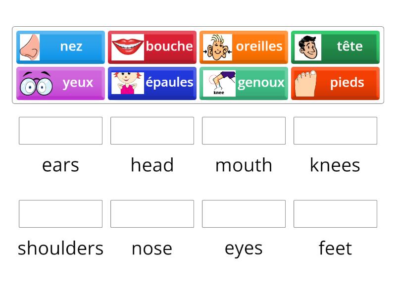 Head, Shoulders, Knees and Toes French Match up