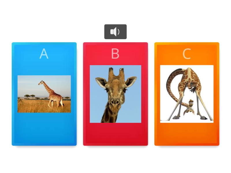 Listening,giraffe - Quiz