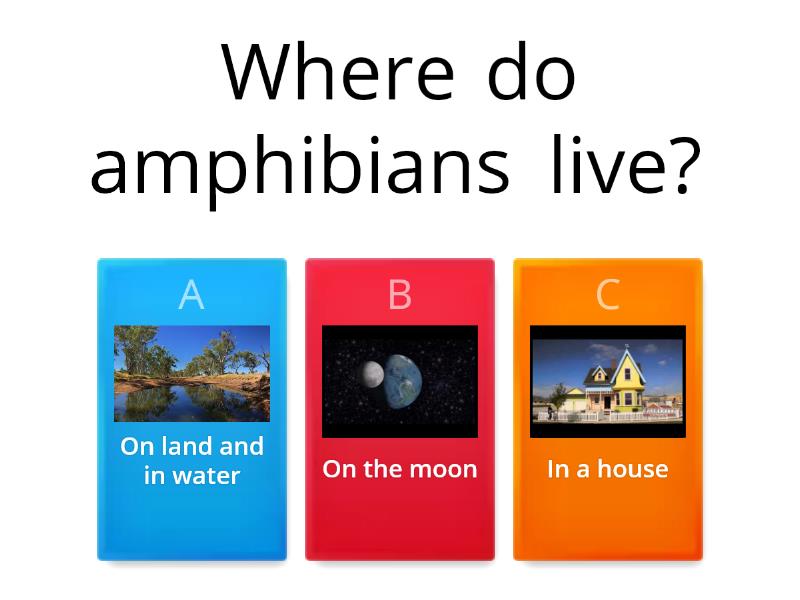 (Prior knowledge) All about amphibians - Quiz