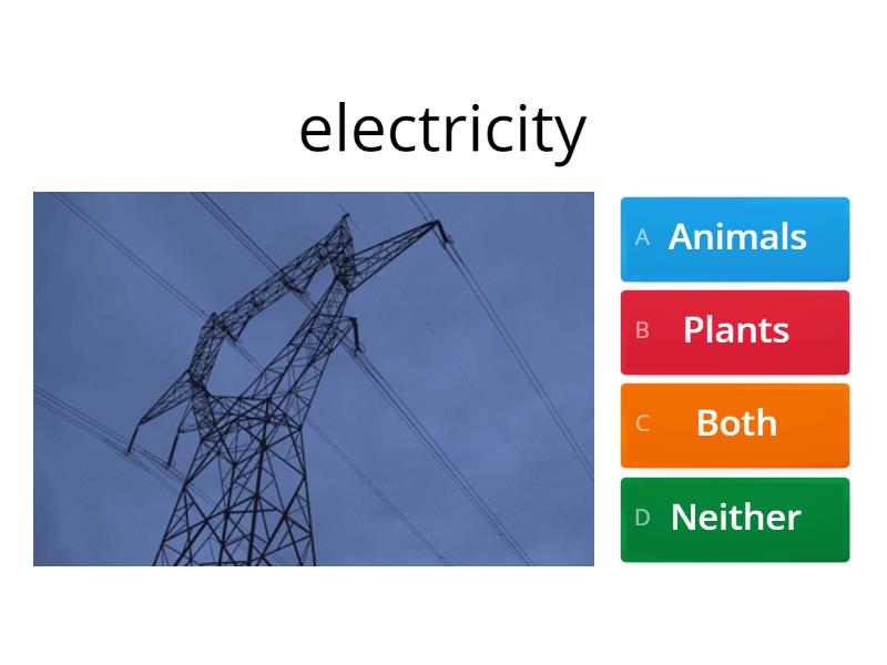 What do plants and animals need to survive? Quiz