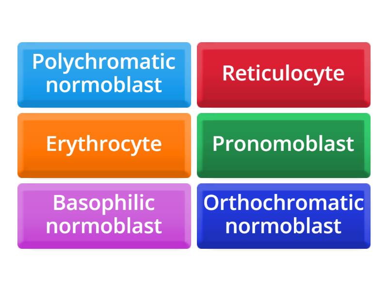 Level 1 normal erythroid cell - Flip tiles