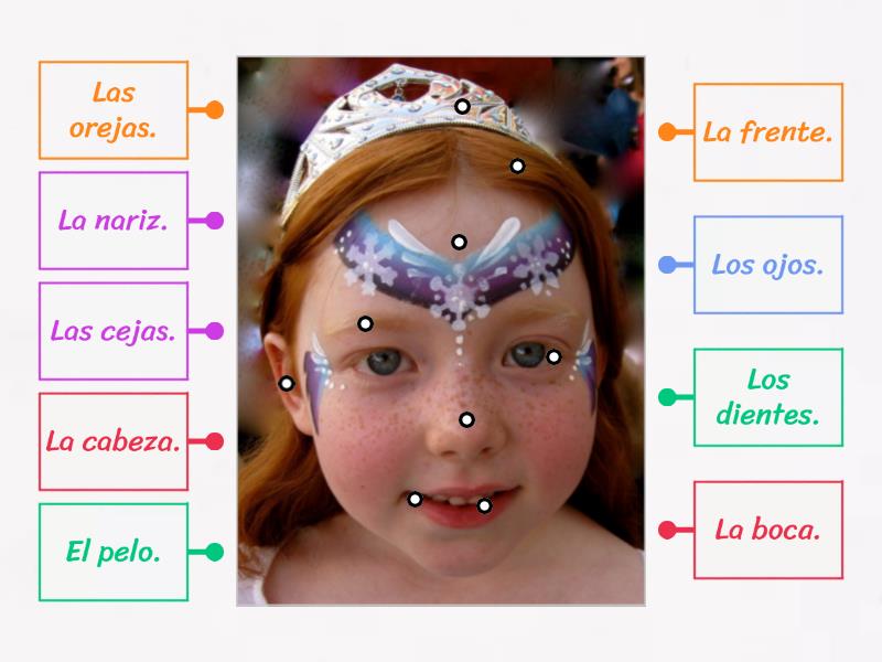 Las Partes De La Cara Labelled Diagram