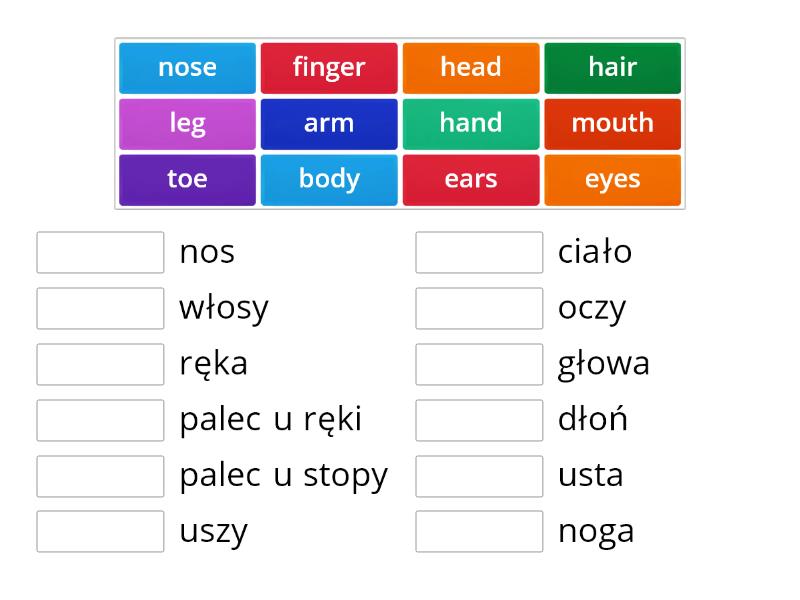 Parts Of The Body - Match Up