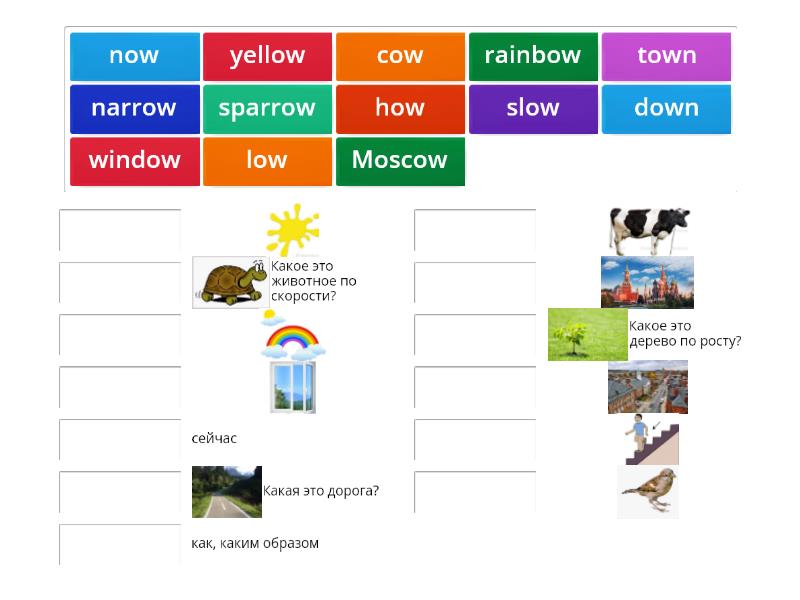 Rainbow 3 класс unit 7. Rainbow English 3 animals.