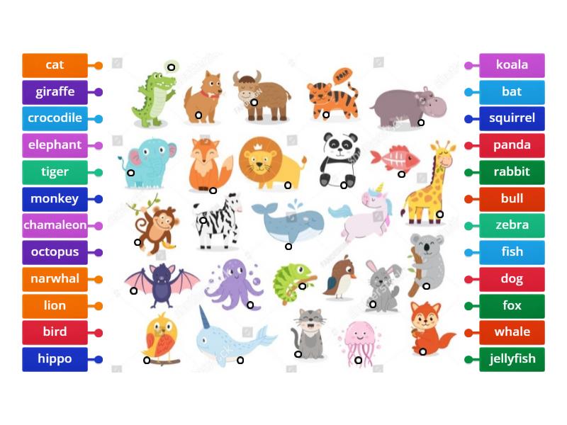 Animals - Labelled diagram