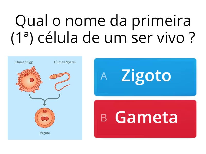 Diferenciação Celular - Quiz