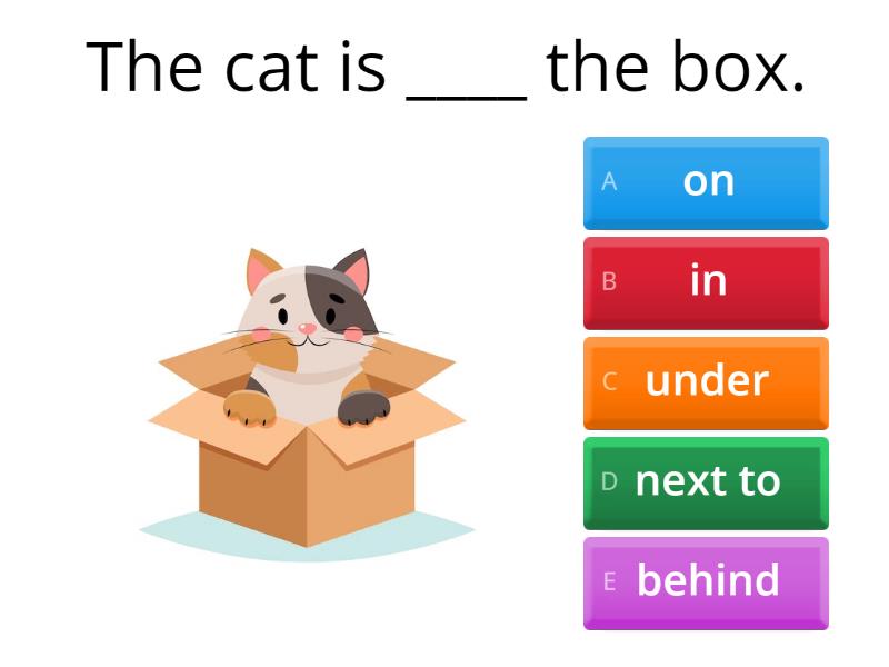 Prepositions of place | The cat & the box - Quiz