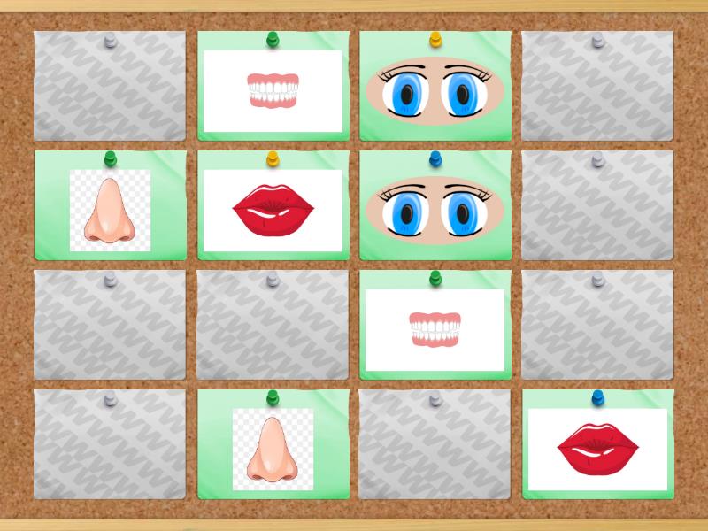 Parts of the face - Matching pairs