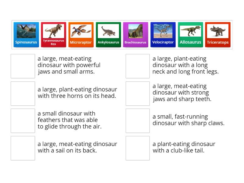 Match The Dinosaur Grade 1and 2 Match Up