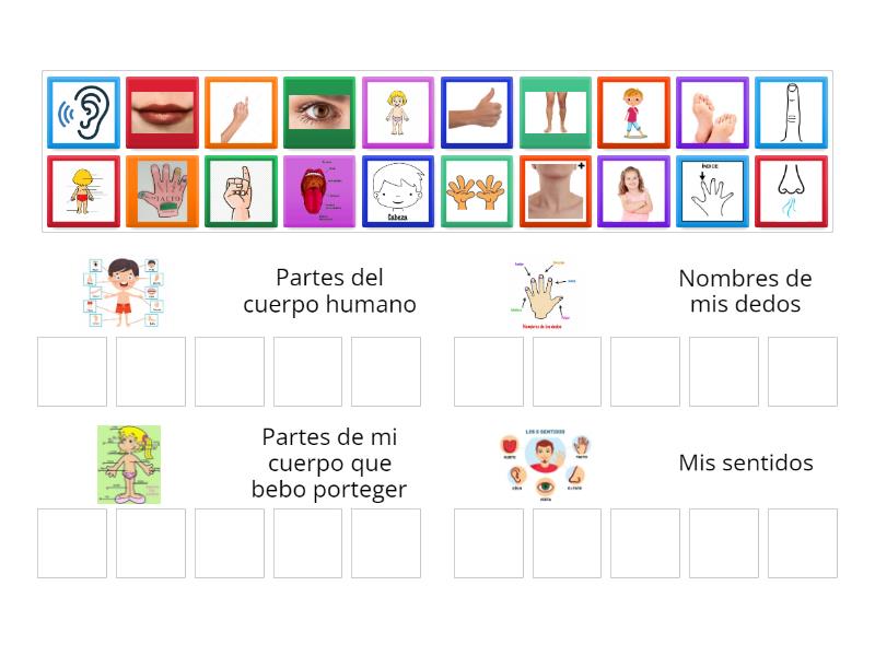 Descubriendo Las Partes De Mi Cuerpo Y Sus Sentidos Group Sort