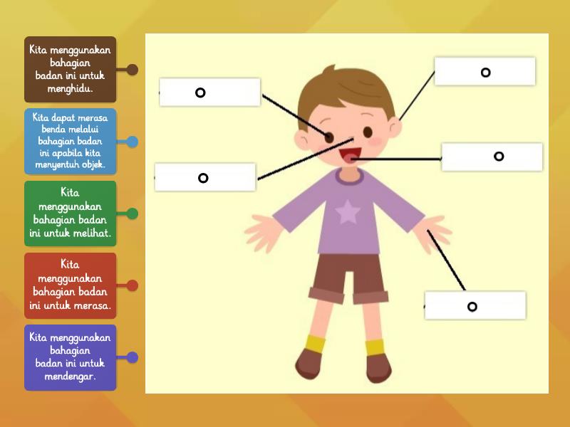 Bahagian Badan Manusia Dan Deria Tahun 1 Diagrama Con Etiquetas