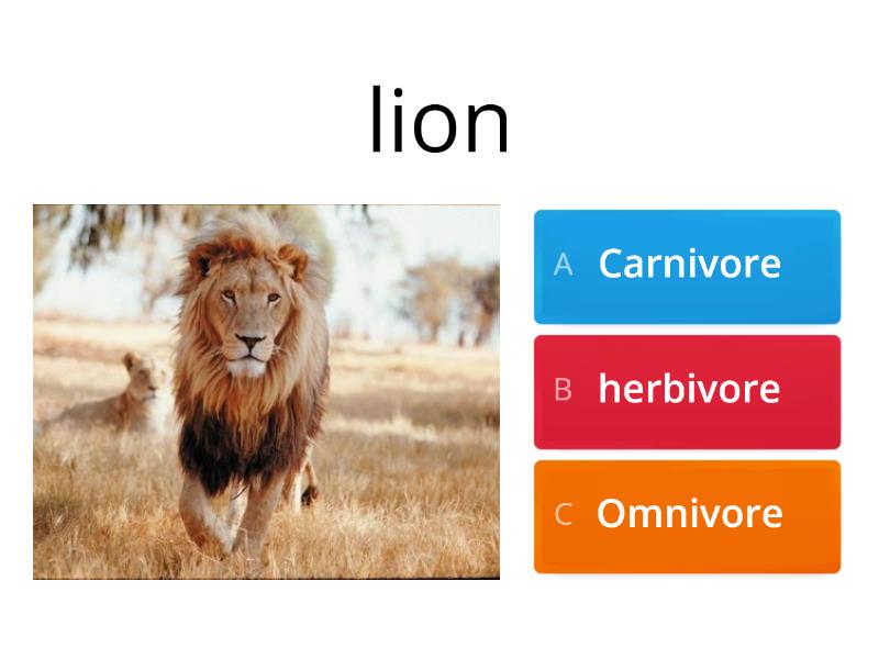 Carnivores, Herbivores And Omnivores - Quiz