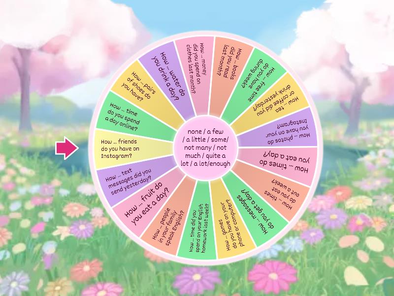 How much/How many + quantifiers speaking - Spin the wheel