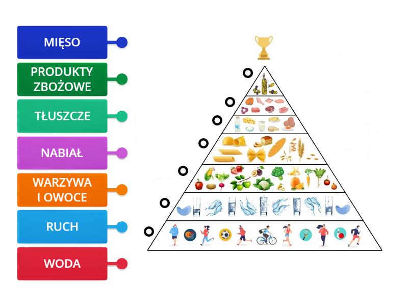 piramida żywieniowa Rysunek z opisami