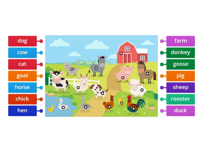 U7 L2 Farm animals - Labelled diagram