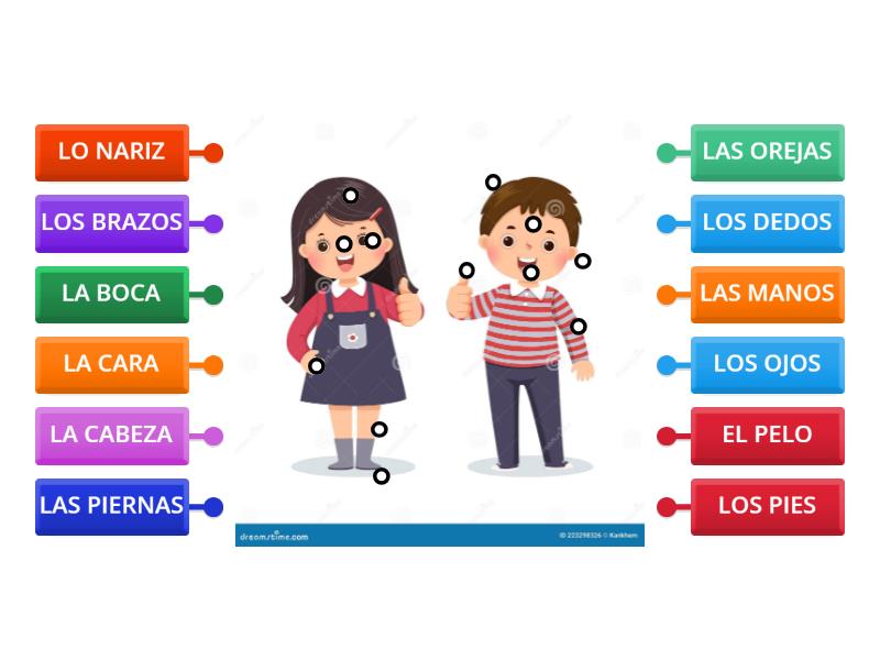 PARTES DO CORPO HUMANO ESPANHOL 1 - Labelled diagram