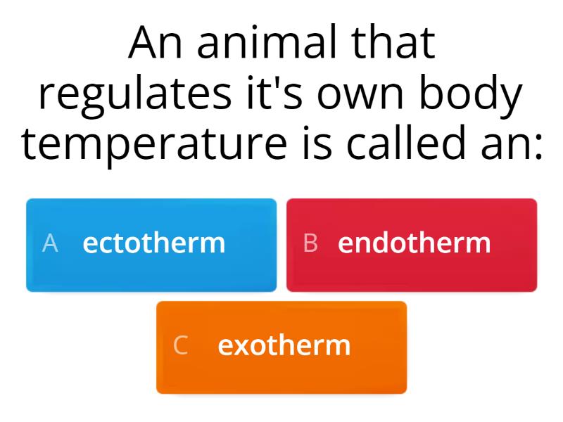 homeostasis-2-quiz