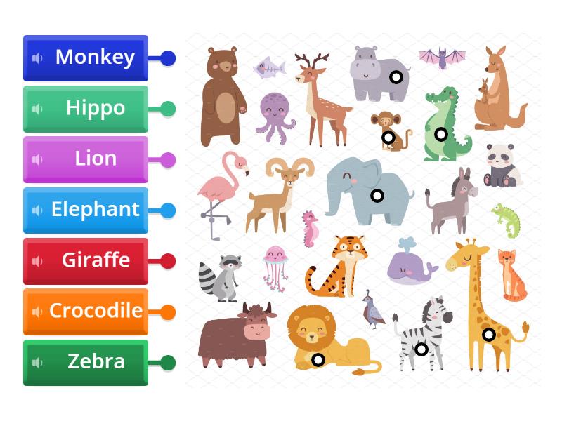 Wild animals - Labelled diagram