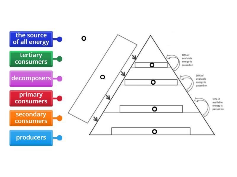 TMS Energy Pyramid - Labelled diagram