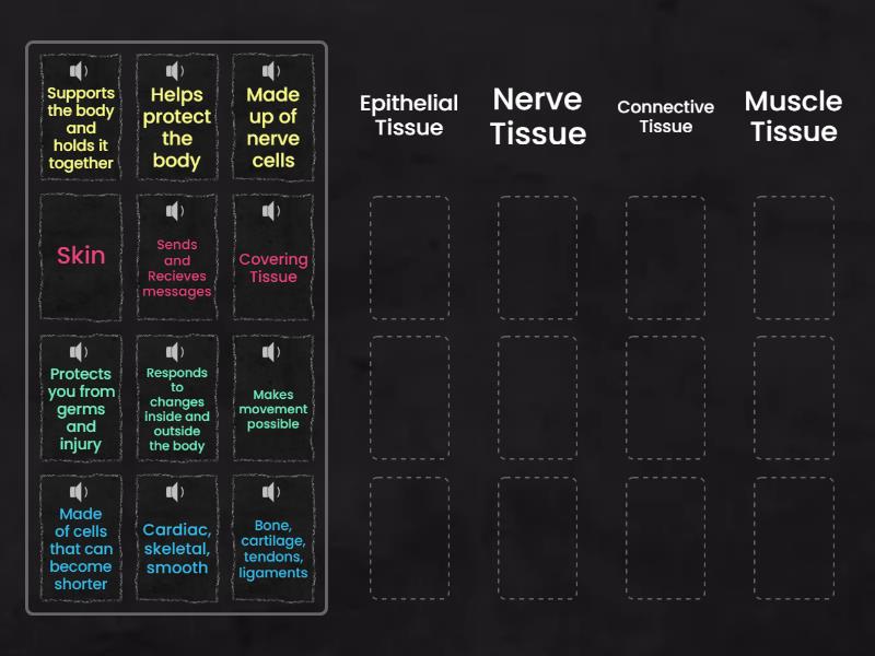 Human Body Tissues - Group sort