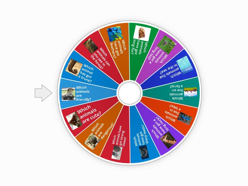 Animals - questions - Random wheel