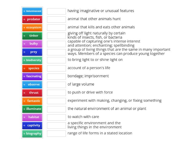 Module 1 Vocabulary - Match up