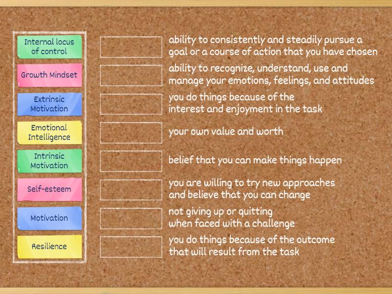 Match Those Terms- Motivation Unit - Match up
