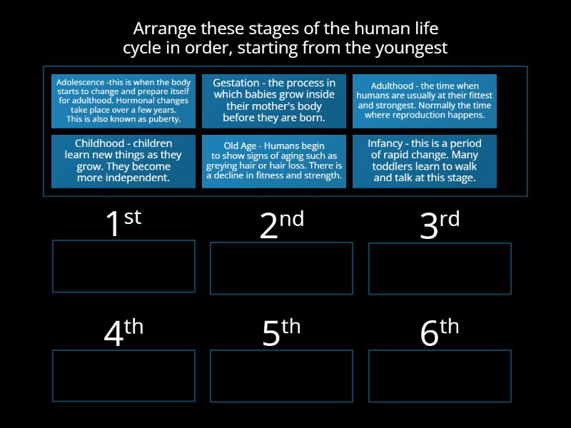 Year 5 Human Growth - Key Knowledge Human Life Cycle - Rank order