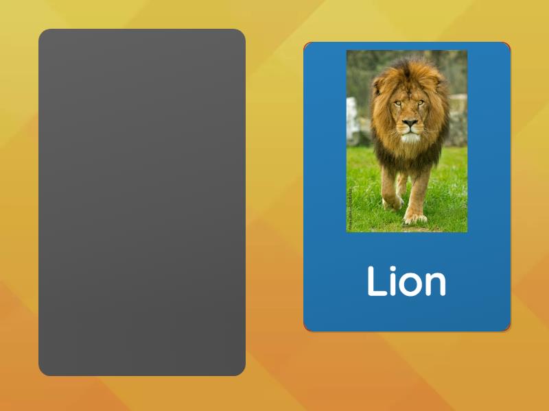 Animals - Speaking cards