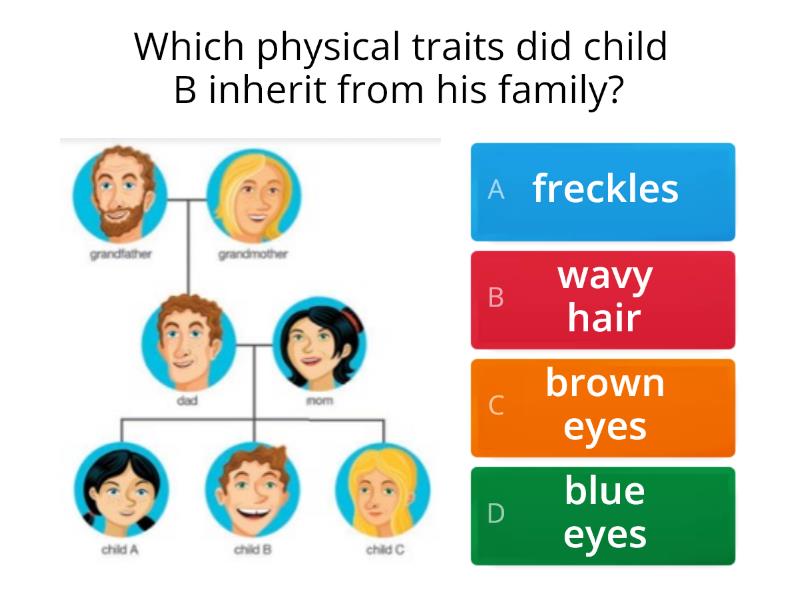 Inherited traits in humans - Quiz