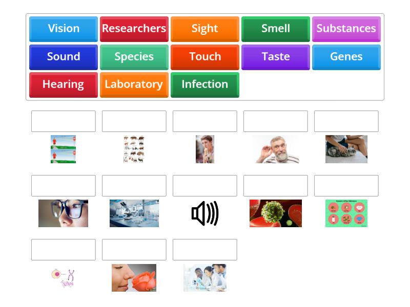 Science Vocabulary - Match up
