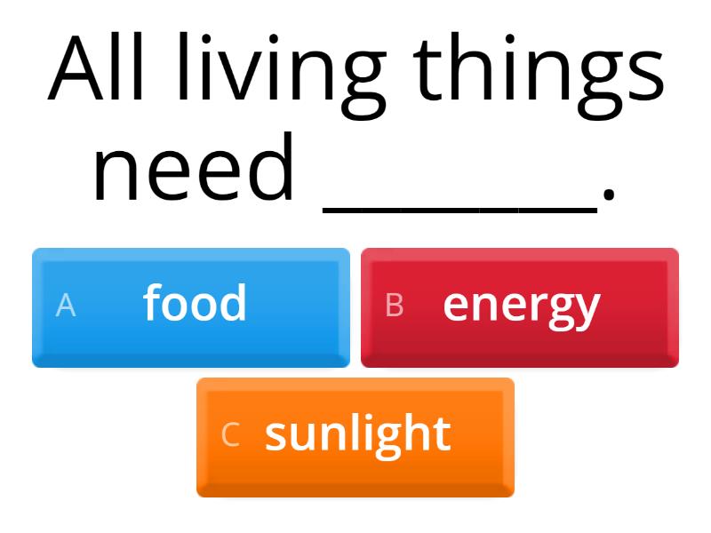 G3 Lesson 2.4 Energy and Living Things Quiz