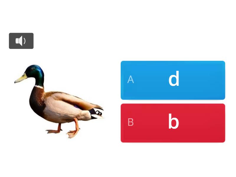 B Or D - Quiz