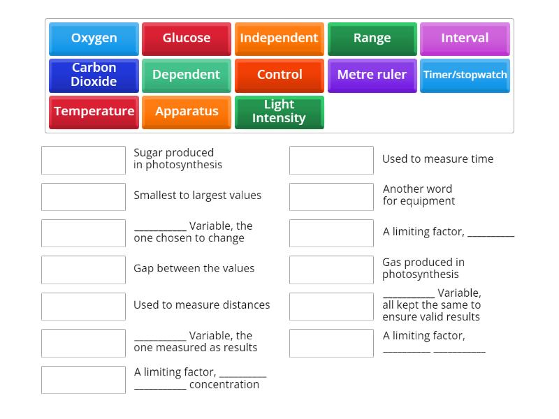 Photosynthesis Practical Match Up