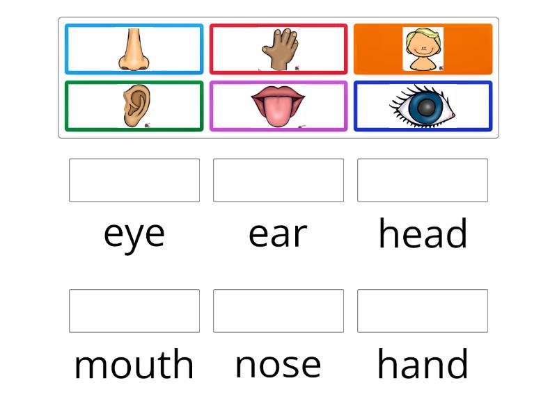 Parts of the body 2 - Match up