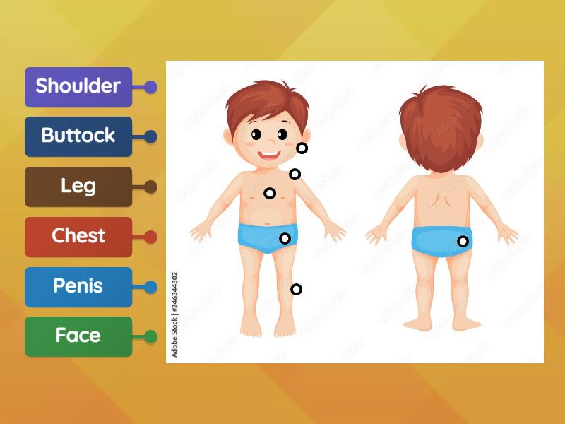 U6 - P2S1: Boy's Body Part - Labelled diagram