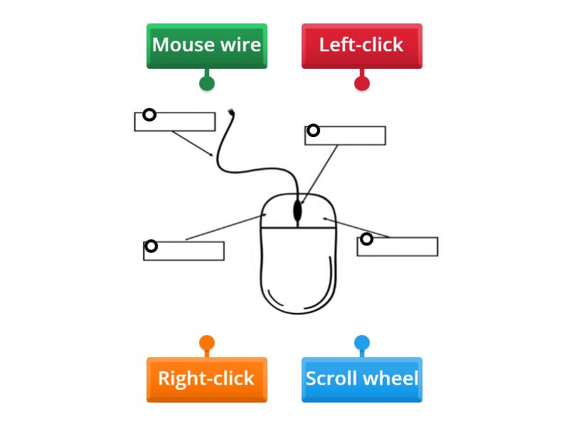 Mouse Parts - Labelled diagram