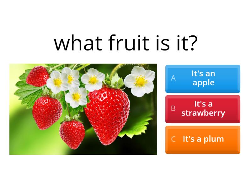 fruit-quiz