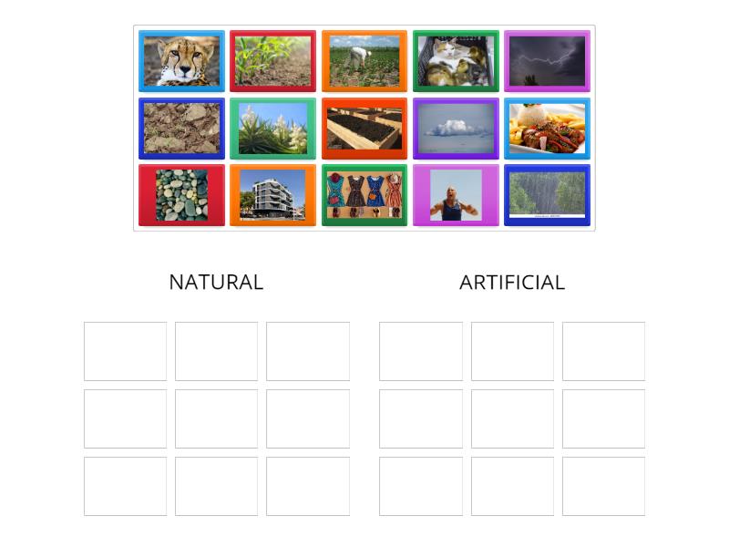natural-and-artificial-elements-group-sort