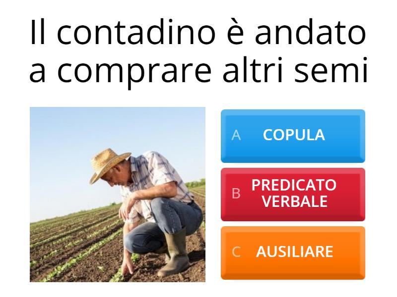 Predicato Verbale E Nominale Funzione Del Verbo Essere Quiz