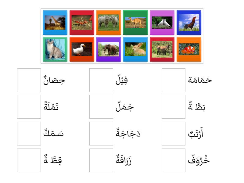 Nama nama hewan dalam bahasa arab kelas 3 - Match up