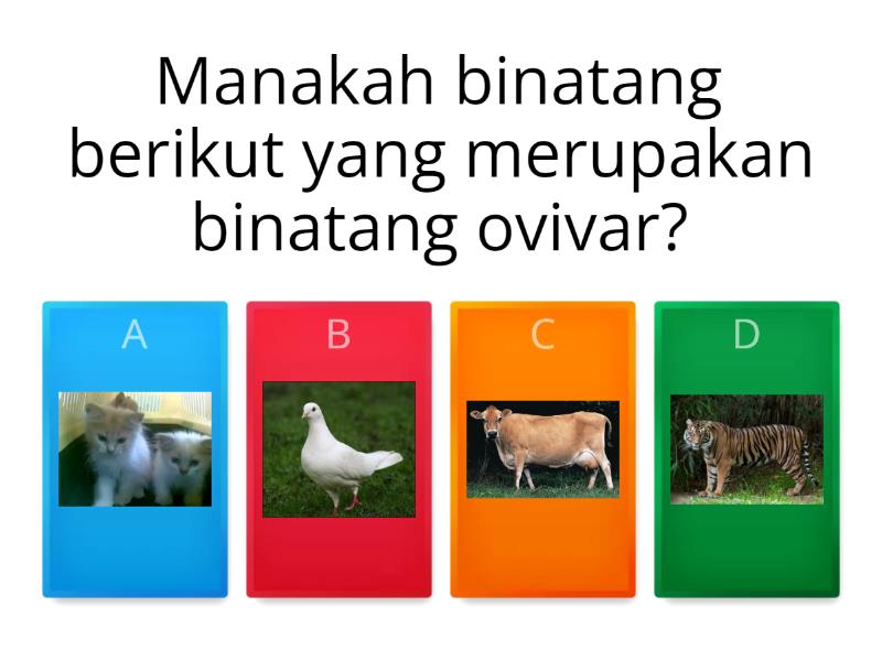 Binatang ovivar dan Vivivar - Quiz