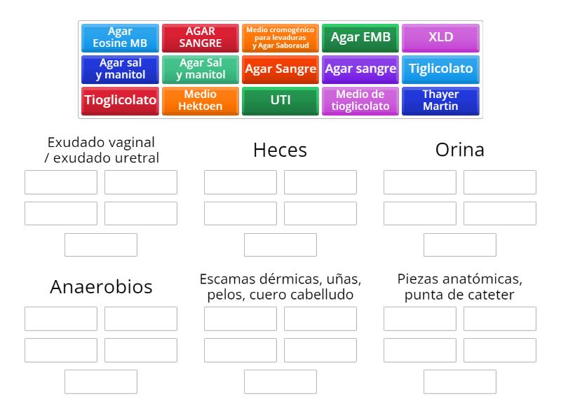 En D Nde Lo Siembro Ordenar Por Grupo