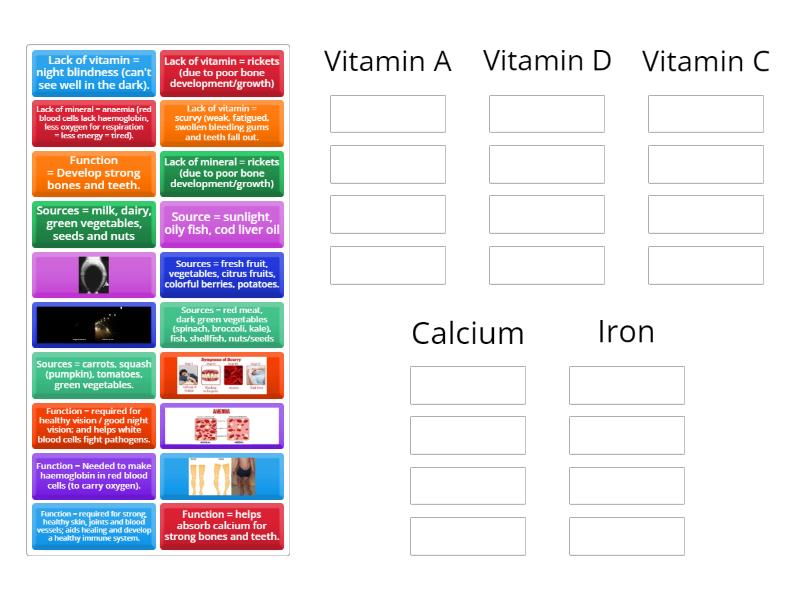 Vitamins And Minerals Group Sort 0505