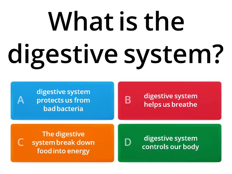 Digestive System Qiuz - Quiz