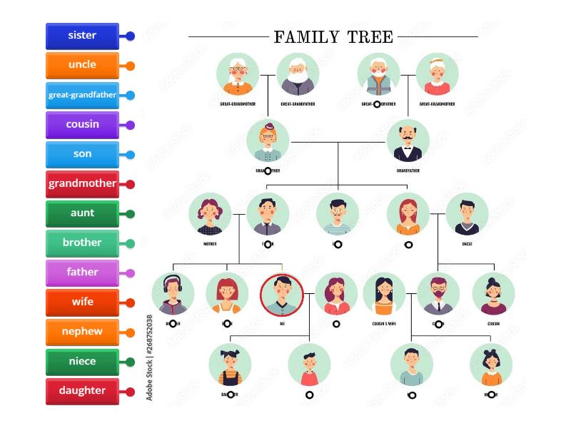 Family Tree - Labelled diagram